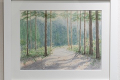 (19) 202601 作品展： 羽尾公也 (水彩) 林影