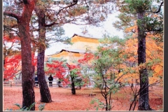 (23) 202601 作品展： 小川洋 (写真) 秋色の京都　（京都市）