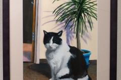 (8) 202601 作品展： 淺野康雄 (水彩) 我が家のKatz、２１歳